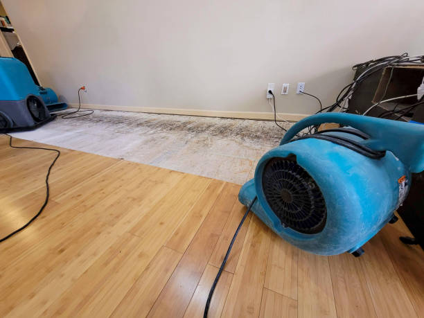 Professional Water Removal technician working in Stanton, CA